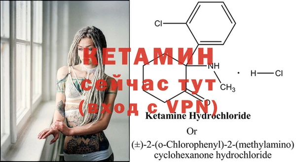 стаф Гусев