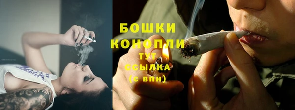 стаф Гусев
