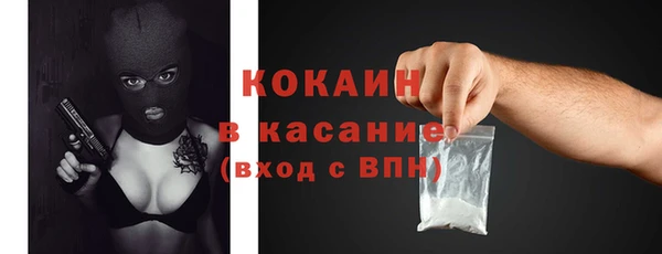 стаф Гусев