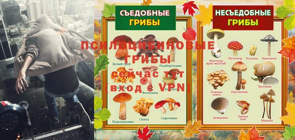 молекула духа Гусь-Хрустальный
