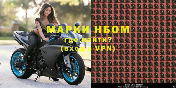 стаф Гусев