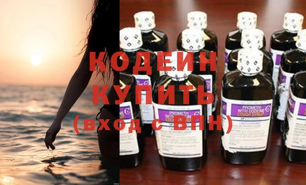 стаф Гусев