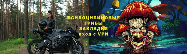молекула духа Гусь-Хрустальный