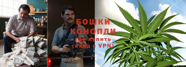 стаф Гусев