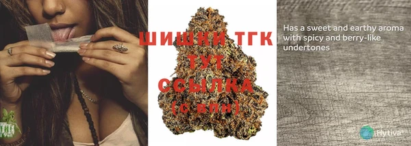 кокс Гусиноозёрск