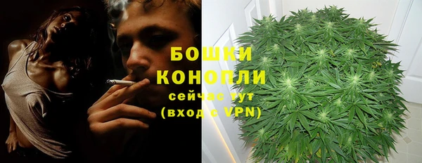 стаф Гусев