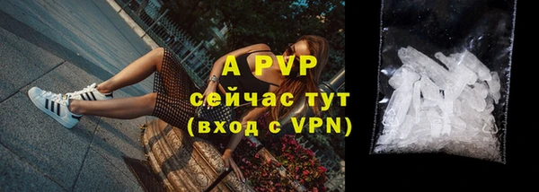 стаф Гусев