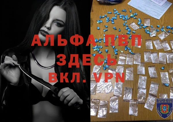 стаф Гусев