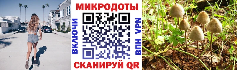 Псилоцибиновые грибы MAGIC MUSHROOMS  Новый Уренгой 