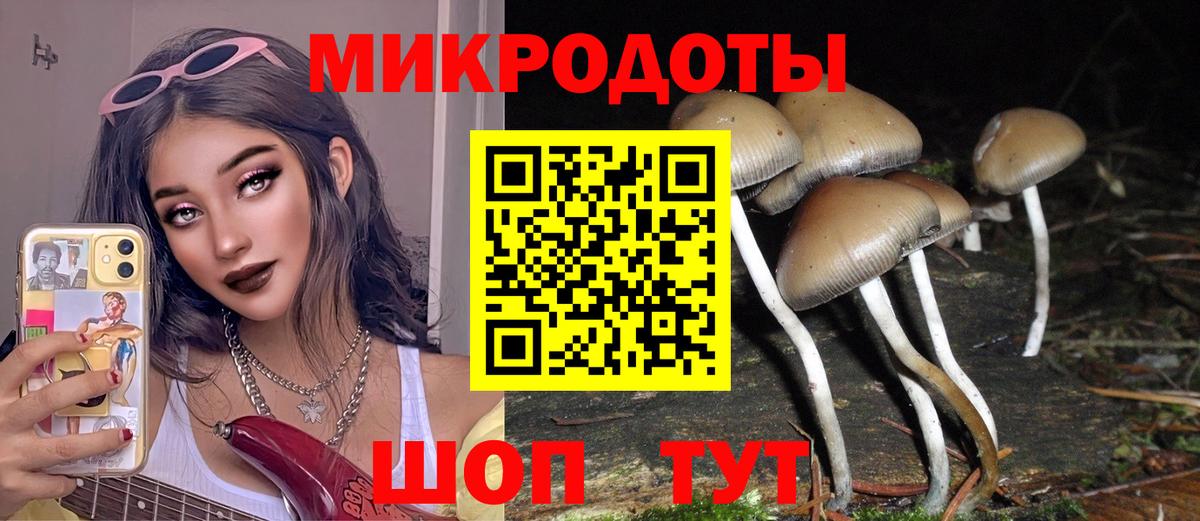 Новый Уренгой  Галлюциногенные грибы MAGIC MUSHROOMS  Вход с VPN 